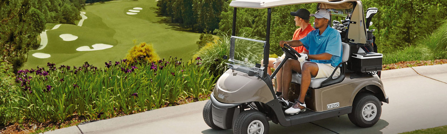 2020 E-Z-GO RXV for sale in Beech Creek Golf Carts, Cincinnati, Ohio